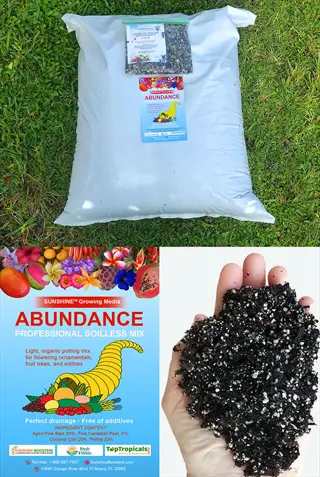 abundance perlite soil mix bag with product label and sample in hand