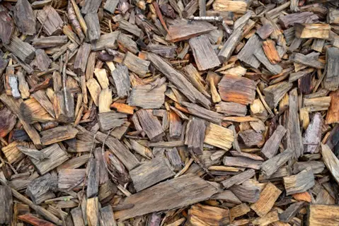 close-up of shredded bark mulch with mixed brown wood chips