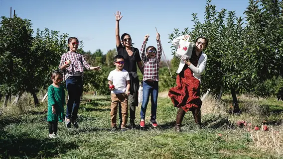 family picking apples in an apple tree orchard on a sunny day