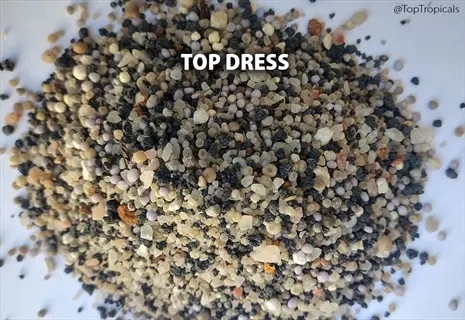 granular fish bone fertilizer top dress mix scattered on a white surface