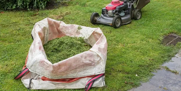 grass clippings garden in a large bag beside a lawn mower on wet grass