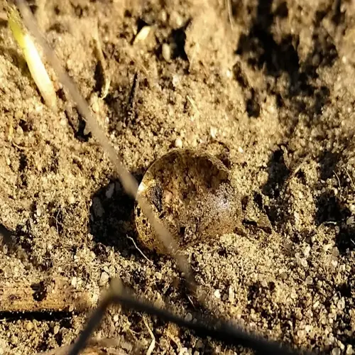 gypsum soil amendment granules mixed into dry garden soil