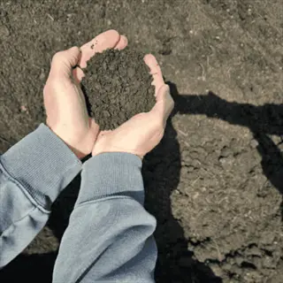 hands holding garden compost soil over a garden bed