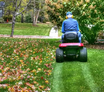person using a mulching mower autumn lawn with fallen leaves in a garden