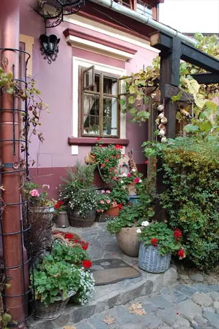 potted plants patio by a pink house entrance with flowers, stone steps, and a wooden window