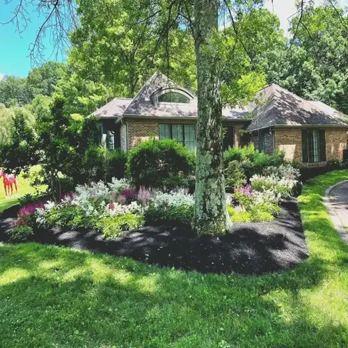 shredded leaf mulch garden with flowers and shrubs around a large tree in front of a brick house